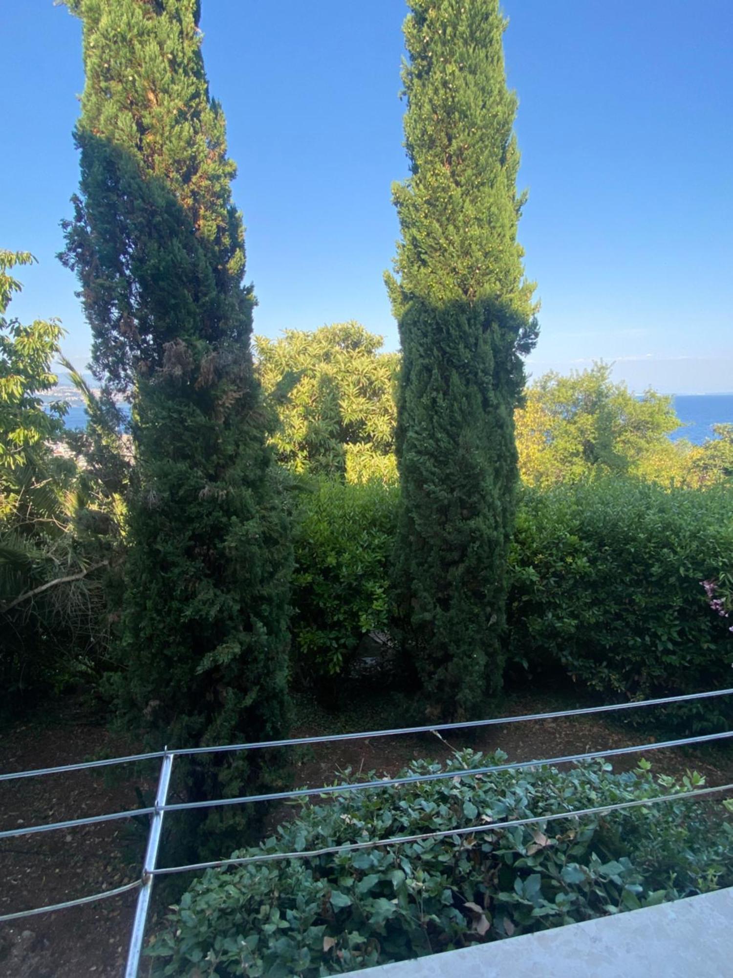 Villa Salyna Icici Bagian luar foto