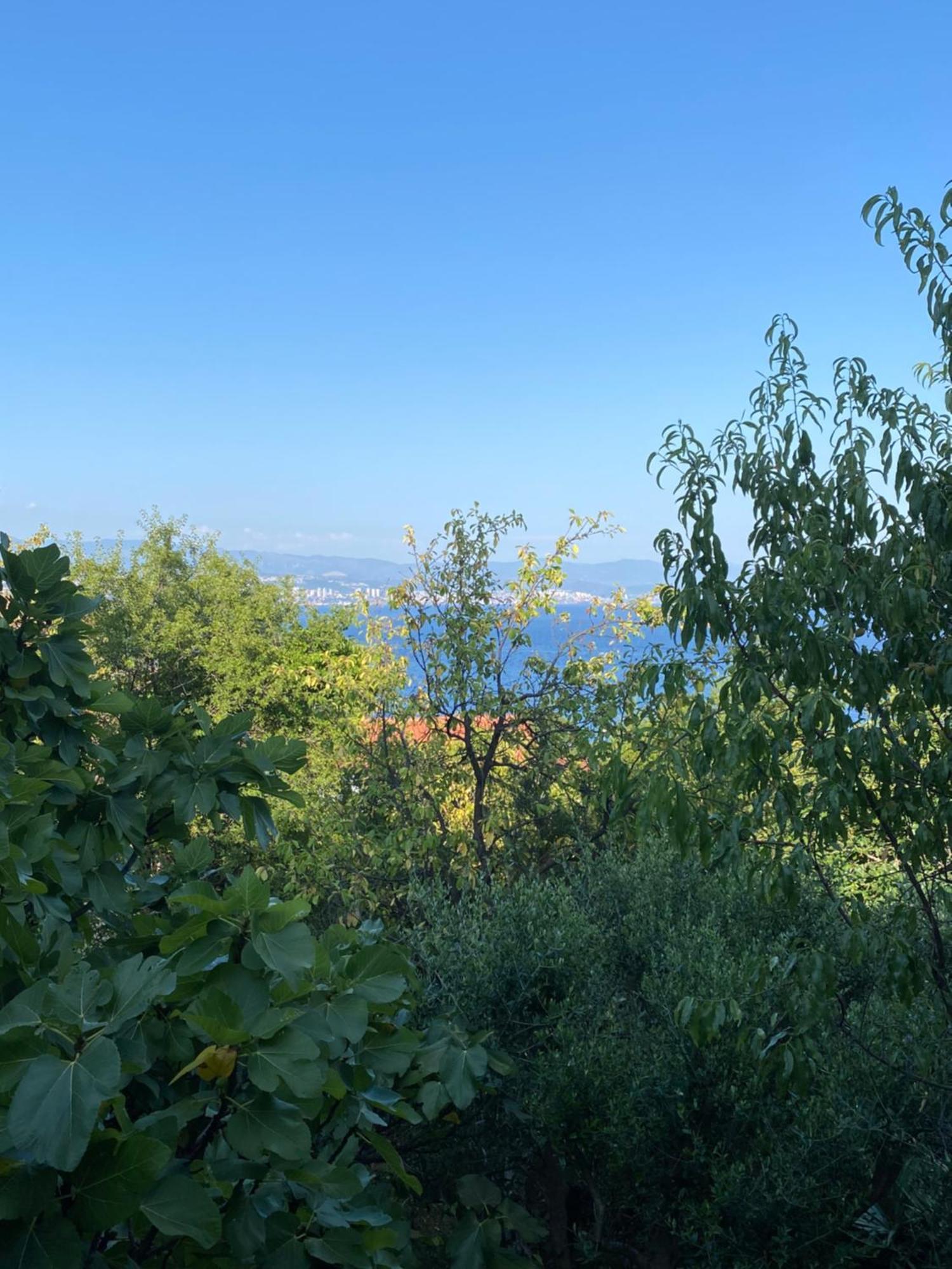 Villa Salyna Icici Bagian luar foto